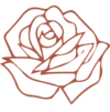 rosa-divider-casale-delle-rose-PNG