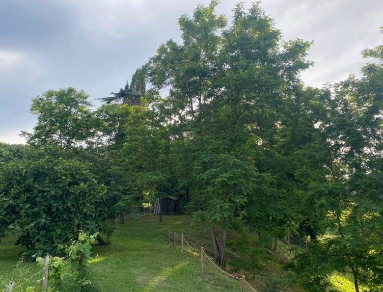 agriturismo a grosseto con piscina, spazi verdi - Il Casale delle Rose